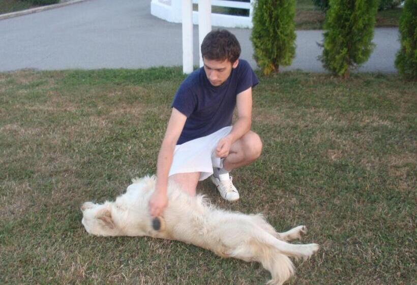 بنسيون House Zupan