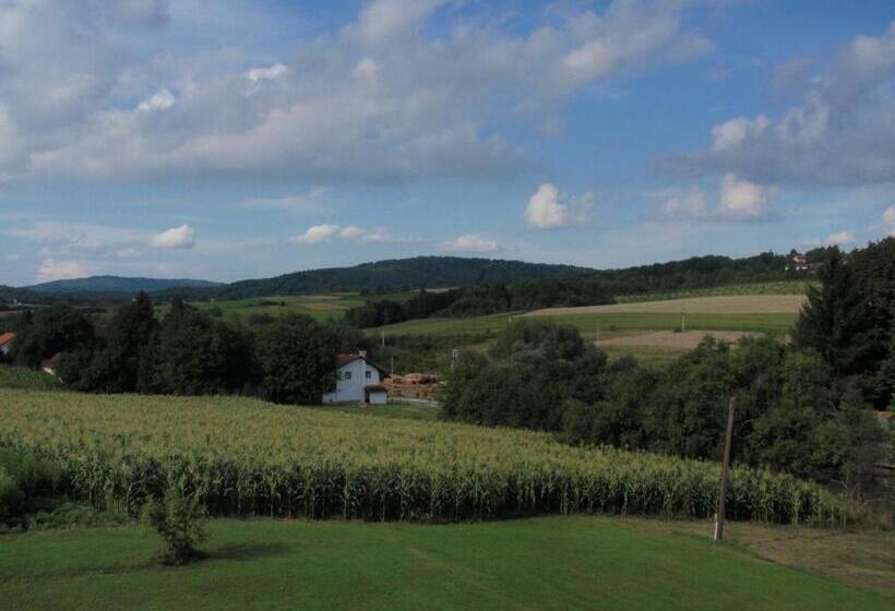 بنسيون House Zupan