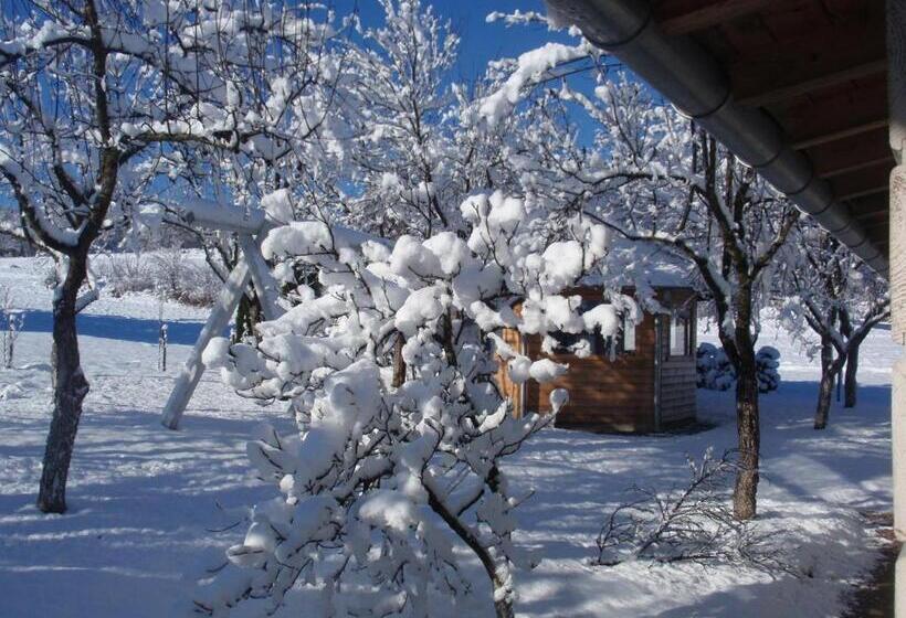 بنسيون House Zupan