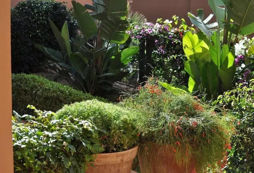 Apparthotel Eden Beach