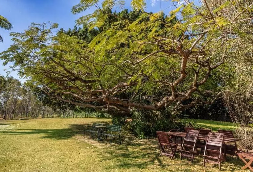 Motelli Benaraby Hilltop Motorinn