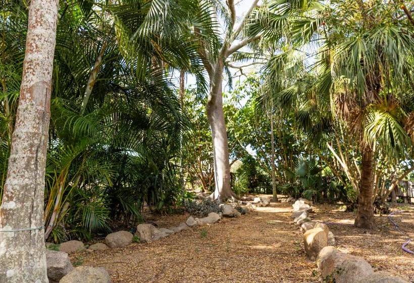 מוטל Benaraby Hilltop Motorinn