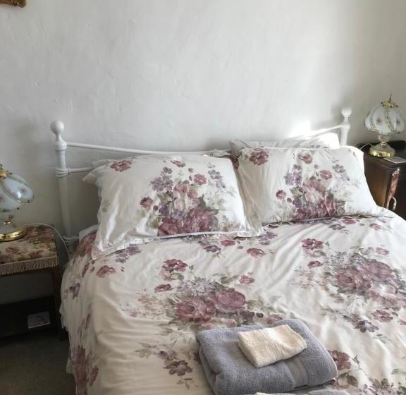 Tophouse Historical Inn Bed And Breakfast