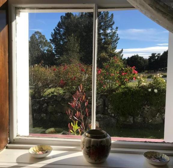 Tophouse Historical Inn Bed And Breakfast