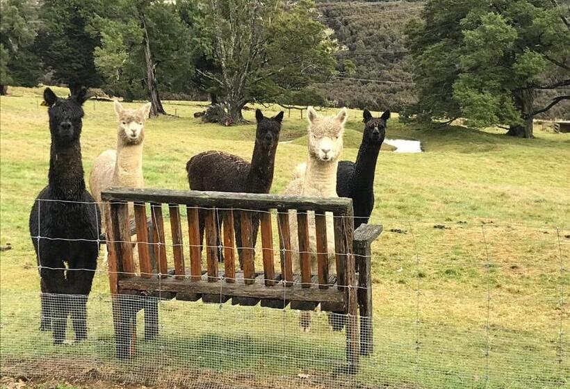 Tophouse Historical Inn Bed And Breakfast