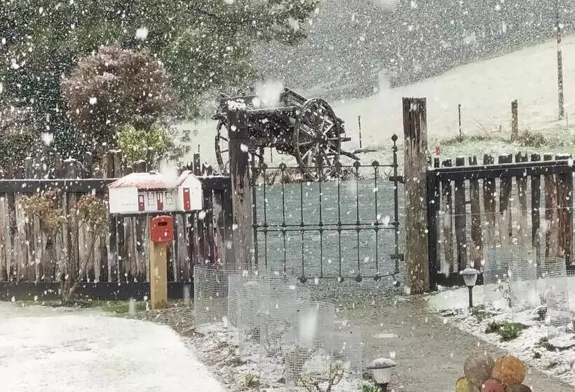 Tophouse Historical Inn Bed And Breakfast