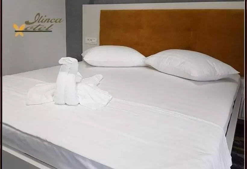 Hotel Ilinca
