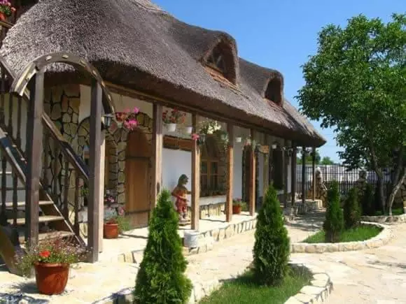 پانسیون Casa Cu Flori Murighiol