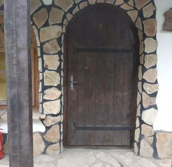 پانسیون Casa Cu Flori Murighiol