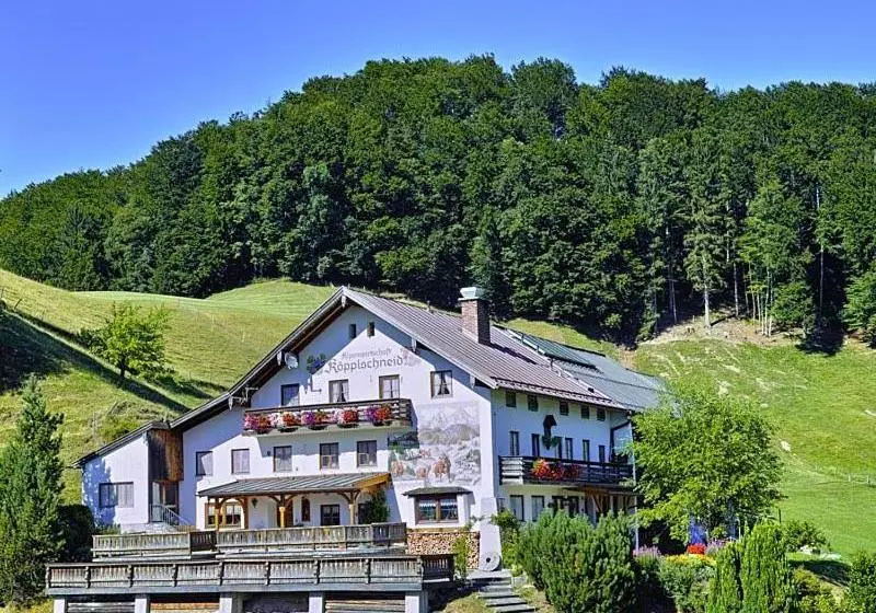 Hotelli Ferienhaus Stadlerlehen