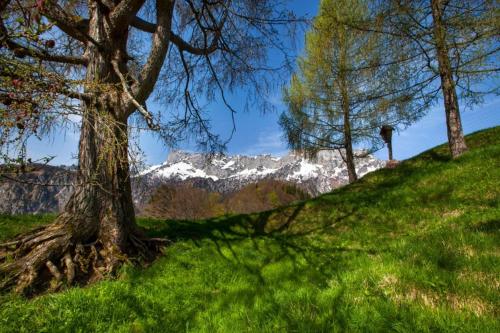 Hotel Ferienhaus Stadlerlehen