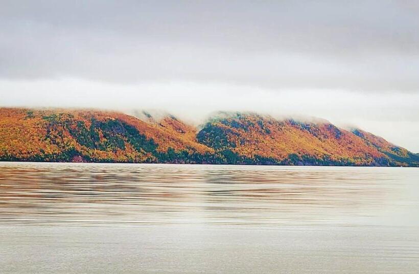 St Ann S Motel & Cottage