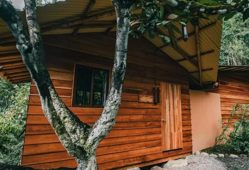 هتل Selva Armonia Immersive Jungle Resort