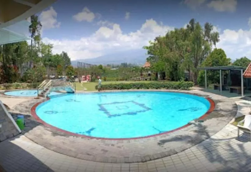 Szálloda Villa Primavera