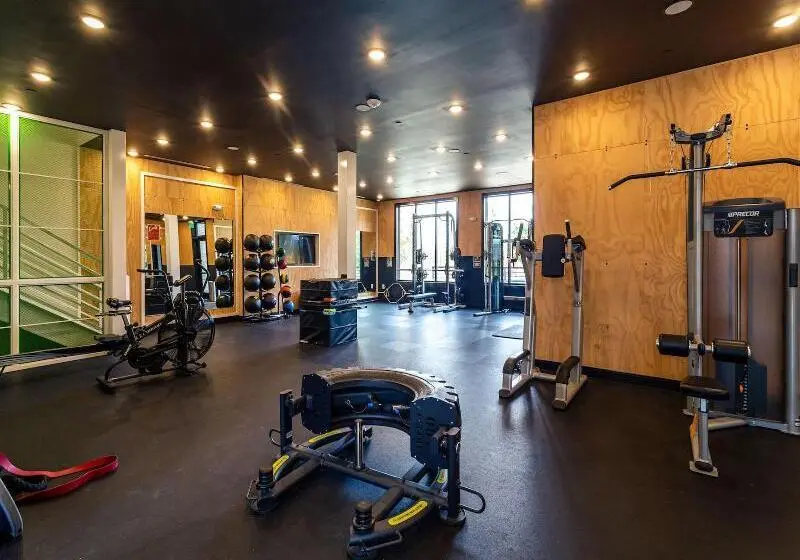 Kasa Freemorewest Charlotte