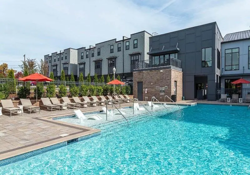 Kasa Freemorewest Charlotte