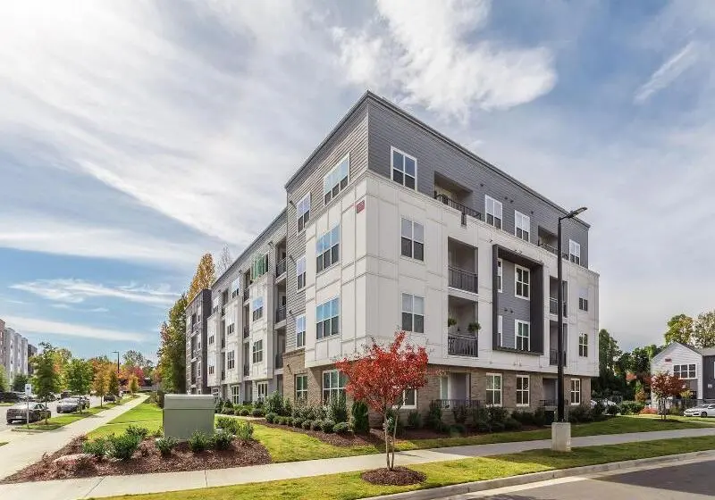 Kasa Freemorewest Charlotte