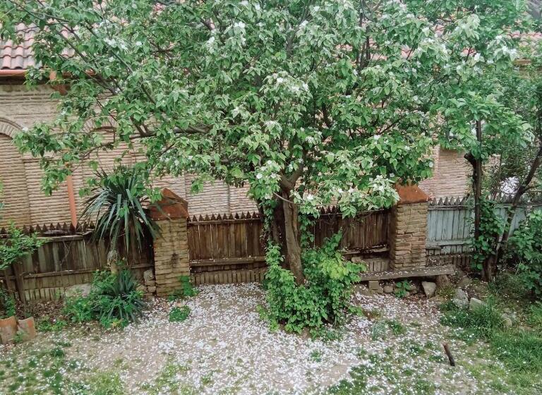 پانسیون Kizikis Kari