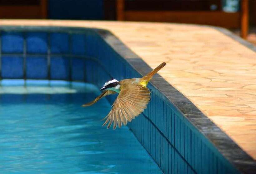 호스텔 Pousada Arco Mundial