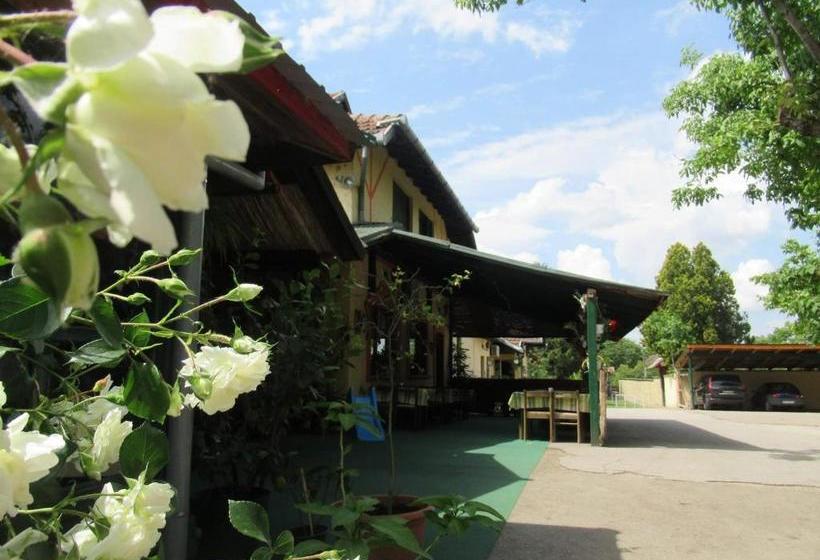 בית מלון כפרי Fogadó