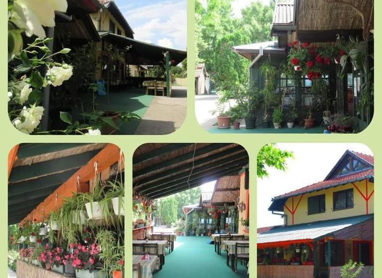 בית מלון כפרי Fogadó