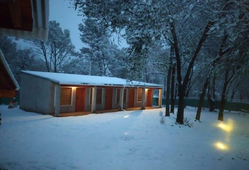 ホテル Hostal El Algarrobo