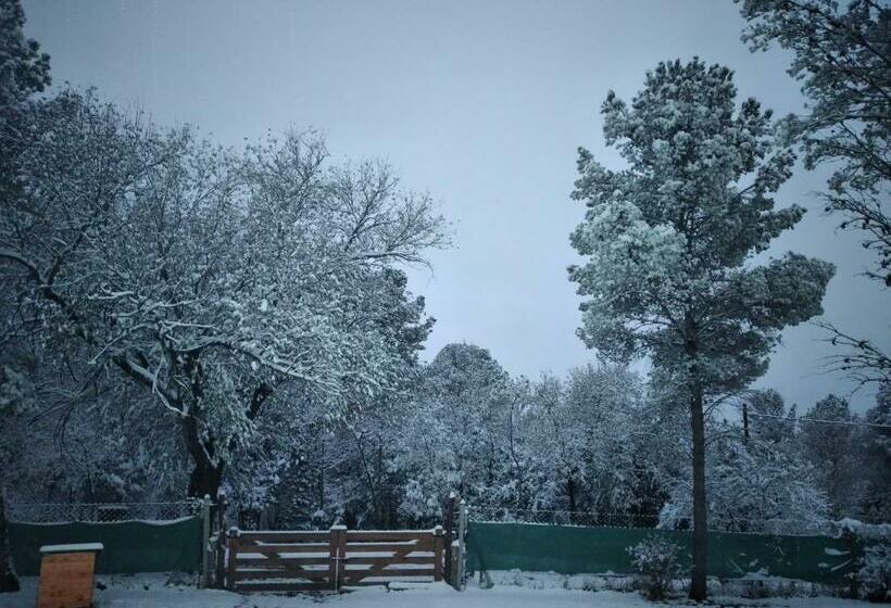 ホテル Hostal El Algarrobo