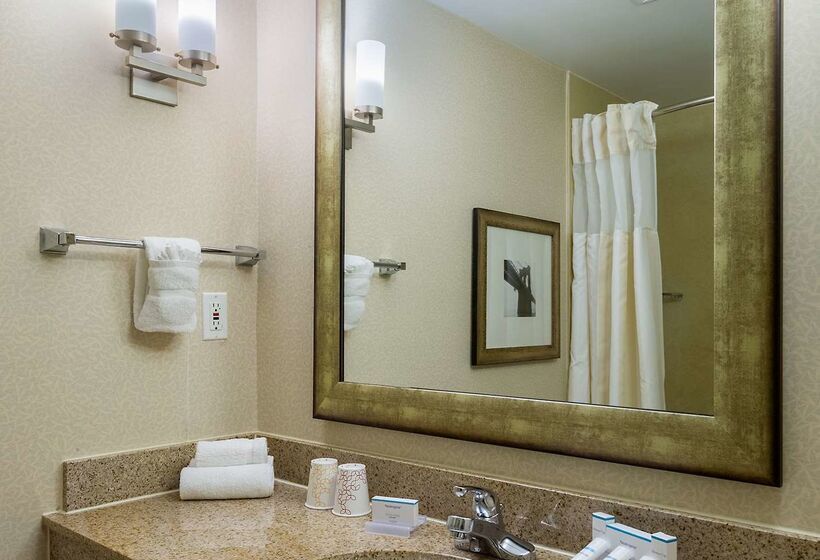 酒店 Hilton Garden Inn New York/tribeca