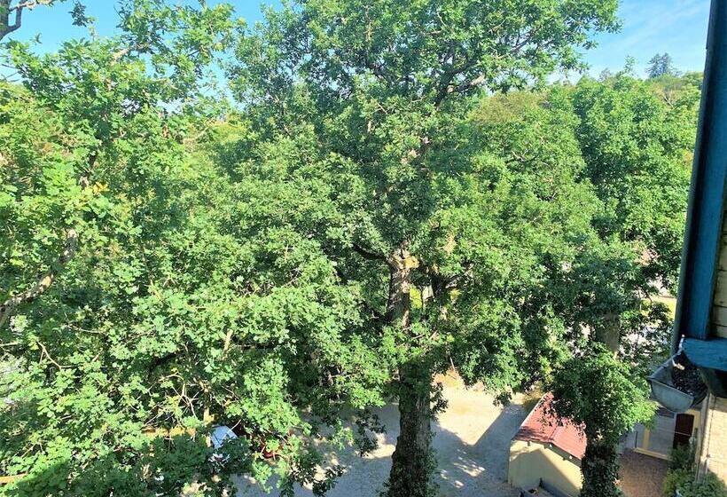 בית מלון כפרי Les Camelias