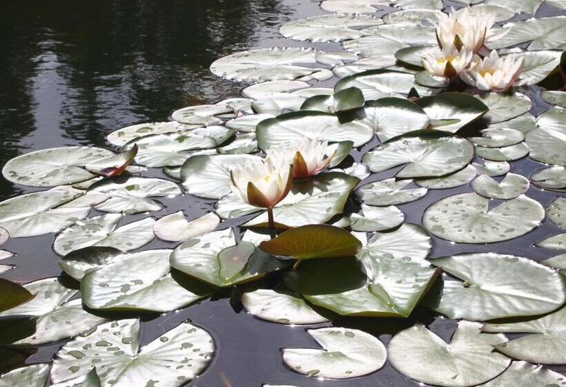 فندق Muxima   Aljezur