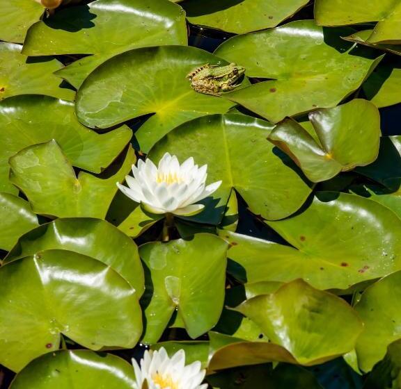 فندق Muxima   Aljezur