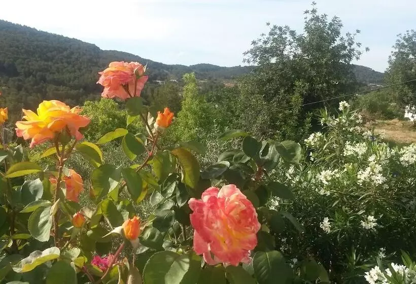 ホテル Agroturismo Can Pardal