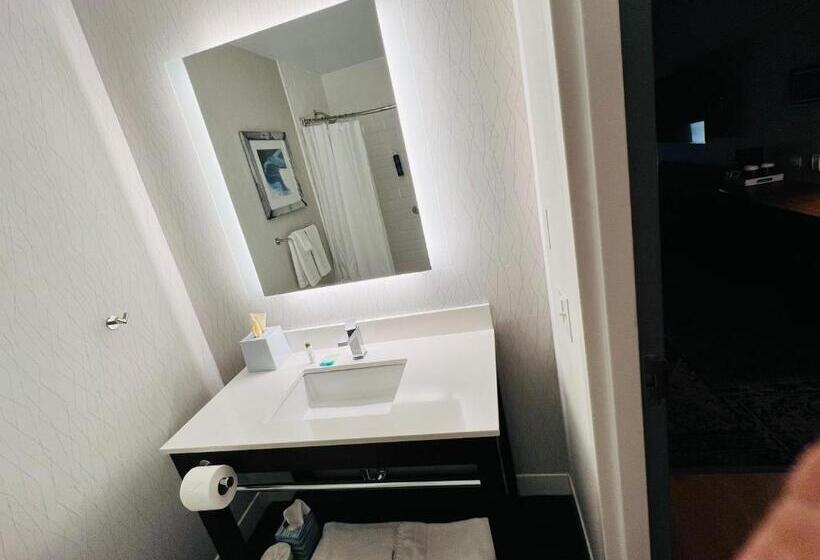 Radisson Hotel Fairview Heights St Louis