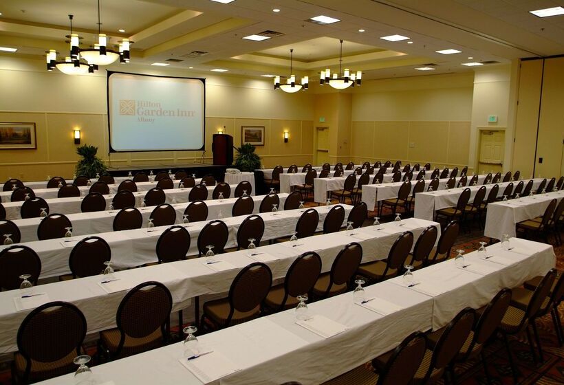 ホテル Hilton Garden Inn Albany