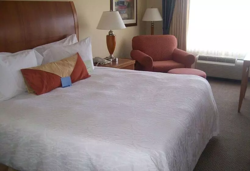 酒店 Hilton Garden Inn Albany