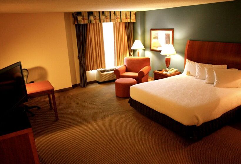 ホテル Hilton Garden Inn Albany