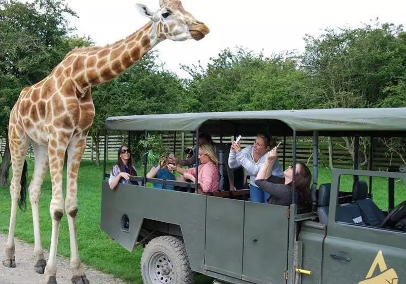 酒店 Holiday Inn Express Folkestone Channel Tunnel, An Ihg