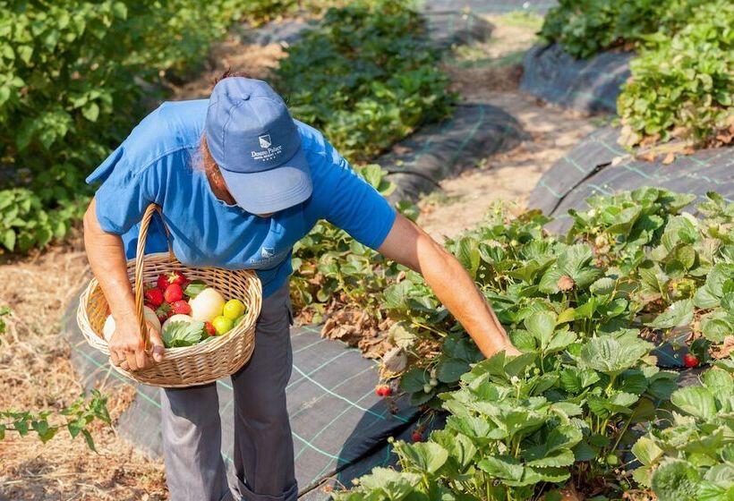 乡村酒店  Douro Palace Hotel Resort & Spa