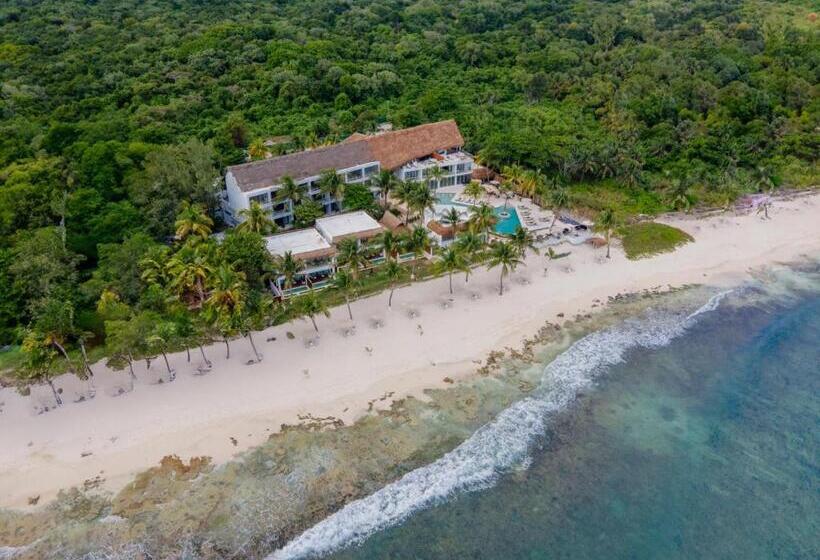 The Beachfront by The Fives Hotels - All Inclusive - Adults Only