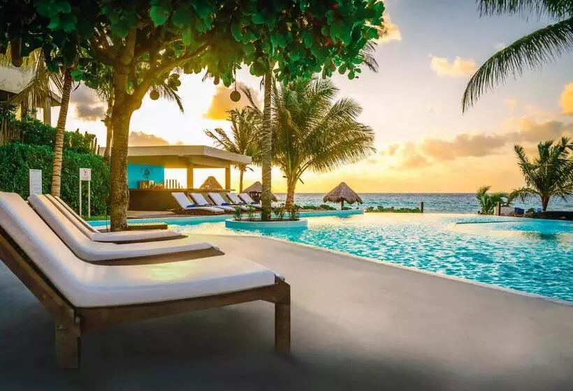 The Beachfront by The Fives Hotels - All Inclusive - Adults Only