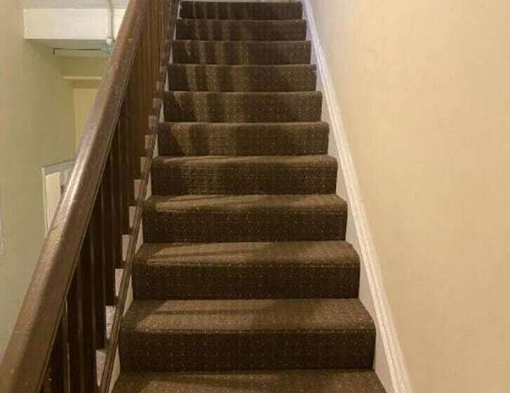 호텔 Newport Lodge