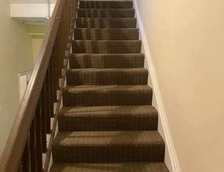 هتل Newport Lodge