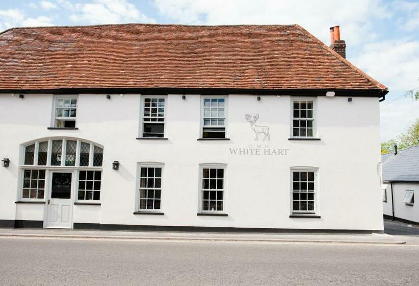여관 The White Hart, Overton