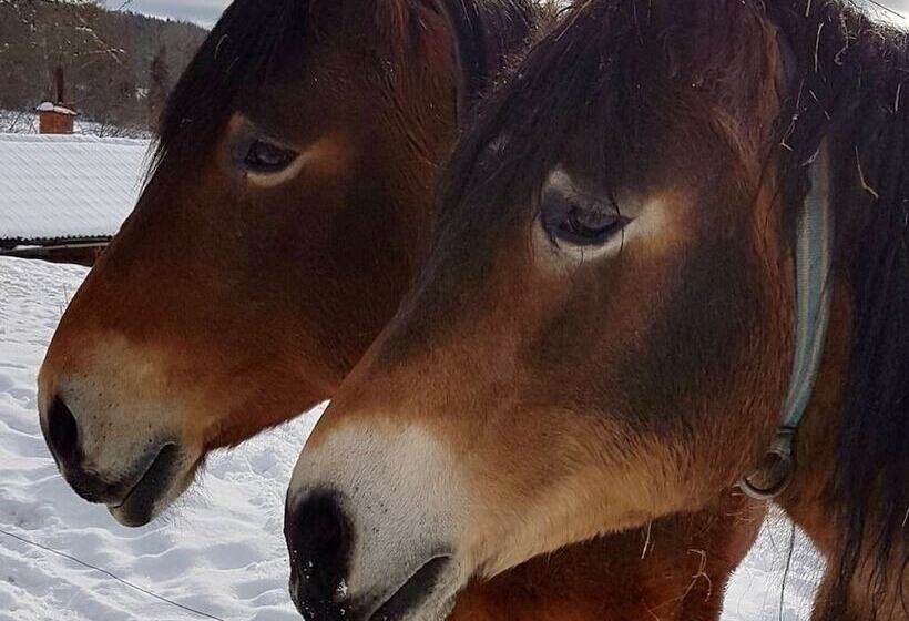 Captivating 1bed Studio