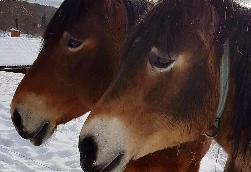 Captivating 1bed Studio