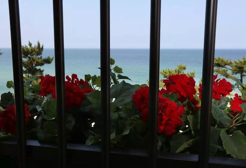 モーテル Gangneung Gyeongpodae Hotel Rang