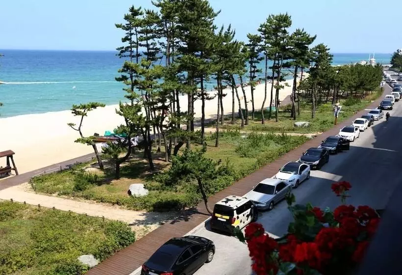 モーテル Gangneung Gyeongpodae Hotel Rang
