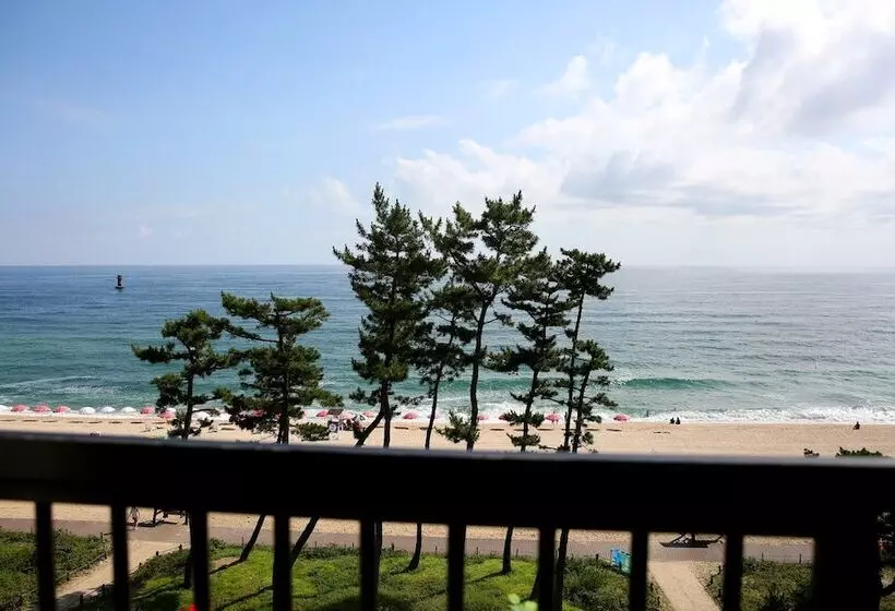 モーテル Gangneung Gyeongpodae Hotel Rang