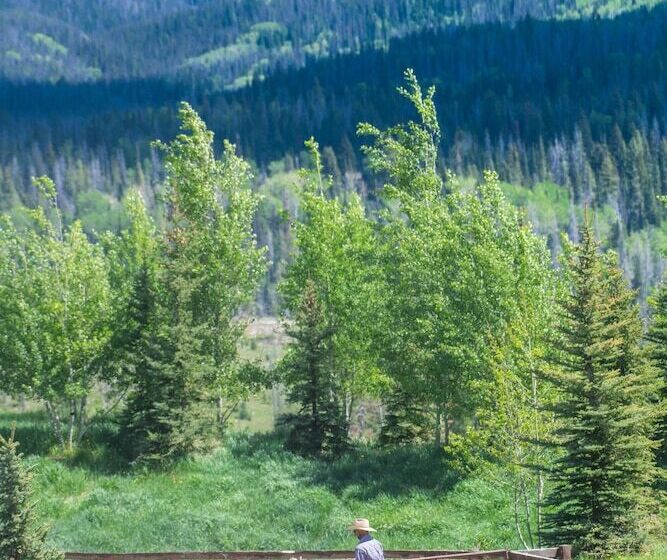 Bed and Breakfast Vista Verde Ranch All Inclusive Lodge Room