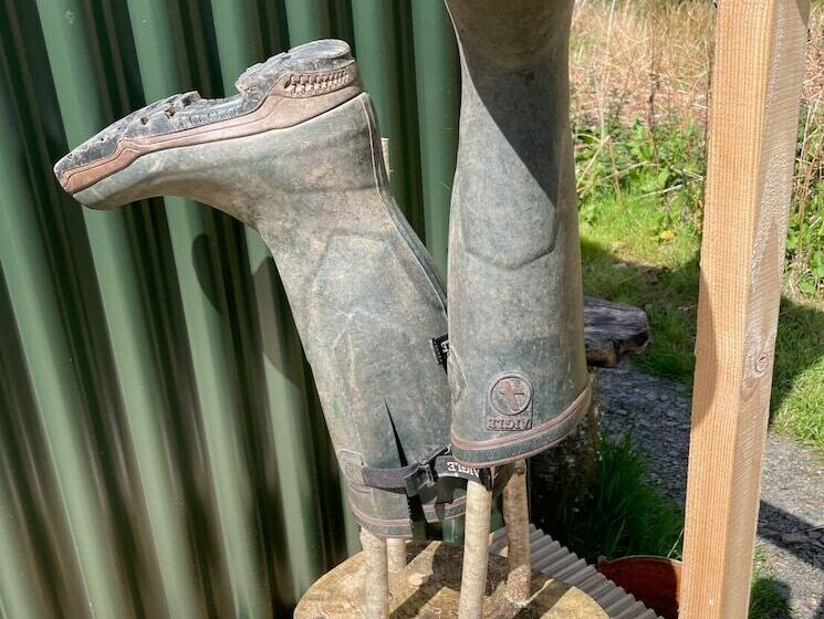 Cosy Woodland Off Grid Shepherds Hut Hazel